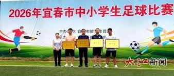 孙兴慜在热刺的辉煌时刻回顾与成就分析
